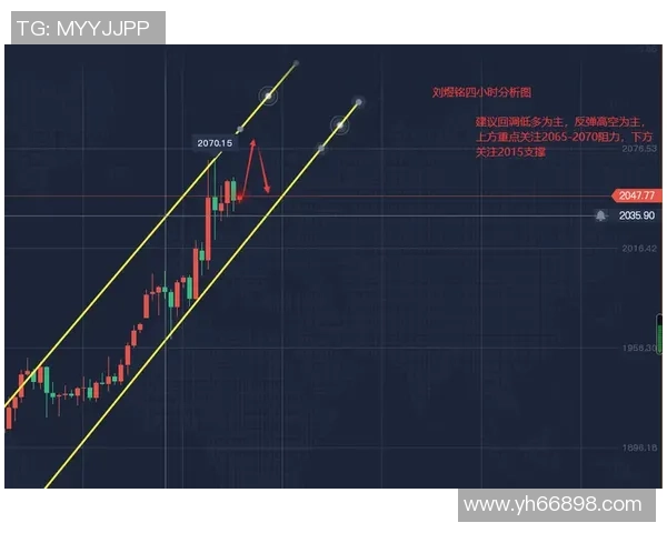西安羽毛球队速度对比独家解析与训练策略探讨